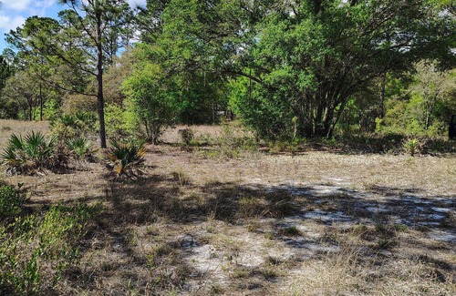 Edgar Wohnmobilvermietung | Soothing campground in Interlachen for a peaceful getaway