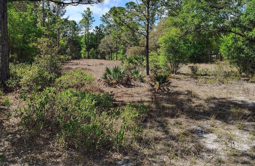 Edgar Wohnmobilvermietung | Soothing campground in Interlachen for a peaceful getaway