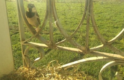 Bitit Wohnung | Source Minérale 53