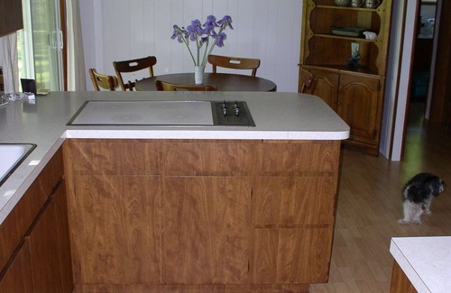 Hale Hütte | Süd Dease Lake - Cottage