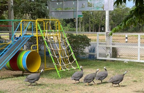 Phetchabun Haus | SP Farm Stay Phetchabun