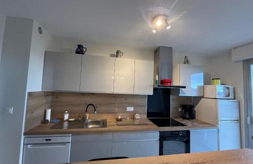 Evian-les-Bains Wohnung | Spacieux appartement refait à neuf avec balcon et garage, proche centre-ville - FR-1-498-108