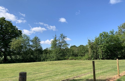 Lydney Wohnung | Geräumige Chalets, Eco, Haustier, Behindertenfreundlich. Wald von Dean, Wye Valley