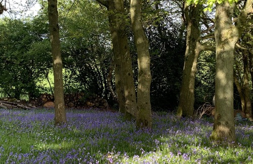 Lydney Wohnung | Geräumige Chalets, Eco, Haustier, Behindertenfreundlich. Wald von Dean, Wye Valley