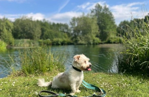 Lydney Wohnung | Geräumige Chalets, Eco, Haustier, Behindertenfreundlich. Wald von Dean, Wye Valley