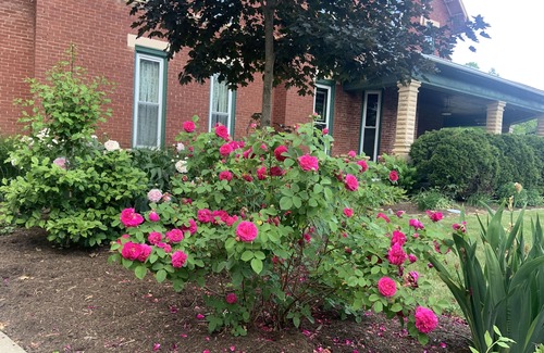 Dover Haus | Spacious Historic Home