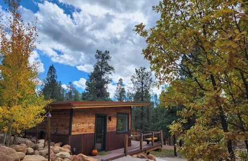 Flagstaff Haus | Spacious new guest house in the pines (sunshine and trails)