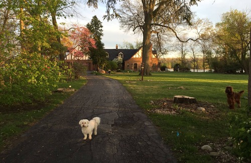 Colton Wohnung | Spacious room in Tudor home overlooking the Maumee river near Metro Parks. Wifi