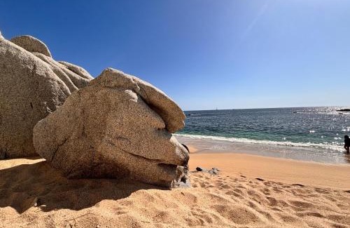 Cabo Bello Haus | Spectacular Vacation Home Ocean View Walk to Beach