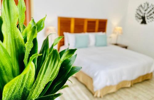 South Beach Bed & Breakfast | SpoonDrift Hostal Kenting
