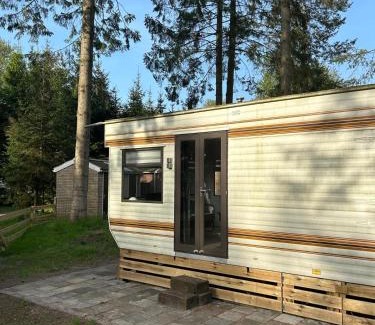 Municipality of Aa en Hunze Sonstige | Stacaravan in bosrijk gebied