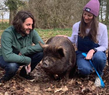 Irstead Haus | Starry Meadow & Rescued Animal Experiences