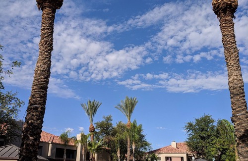 Central Scottsdale Eigentumswohnung | Neu renovierte Ferienhaus in North Scottsdale!