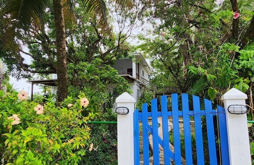 Forest Home Wohnung | Stay, relax and explore in Seastar, our tropical oasis by the Caribbean Sea.