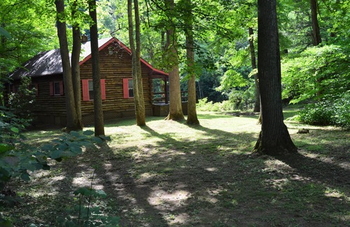 Elkins Kabine | RIVERFRONT! WHIRLPOOL ! Privatgelände. Haustierfreundlich. Volles Personal