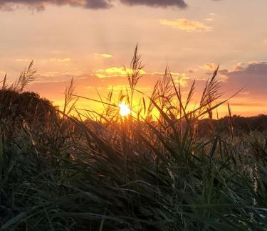 Stalham Wohnung | Stonesthrow 184 Broadside Chalet Park Stalham