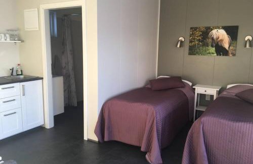 Sveitarfelagid Olfus Wohnung | Strýta Apartment 3