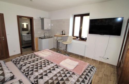 Zupanovice Wohnung | Studio Županovice-1 by Interhome