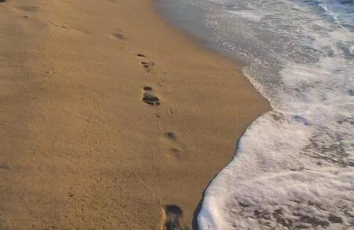 Le Port Wohnung | Studio 2 Personnes Proche Plage et Commerces - 2phoe504