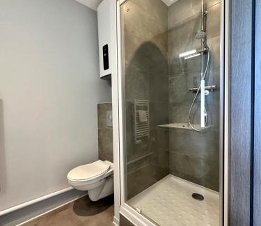 Vandoeuvre-les-Nancy Wohnung | Studio 63 Rénové et Équipé - Nancy Brabois proche CHRU,CESI,FAC