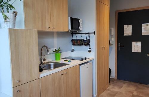 Vandoeuvre-les-Nancy Wohnung | Studio 74 Rénové et Équipé - Nancy CHRU,CESI,FAC