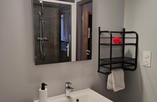 Vandoeuvre-les-Nancy Wohnung | Studio 74 Rénové et Équipé - Nancy CHRU,CESI,FAC