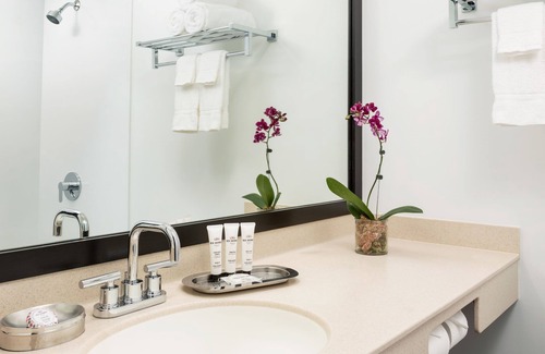 Lower Allston Hotel | Studio Allston Hotel