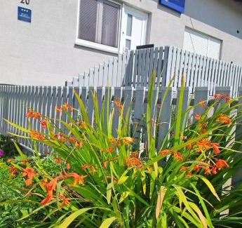 Velika Liduna Wohnung | Studio apartman Draga