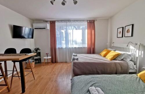 Varazdin Wohnung | Studio apartman Mirta I