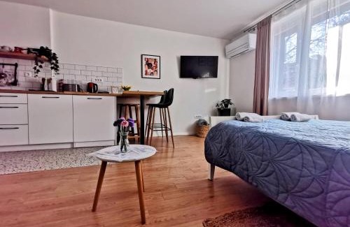 Varazdin Wohnung | Studio apartman Mirta I