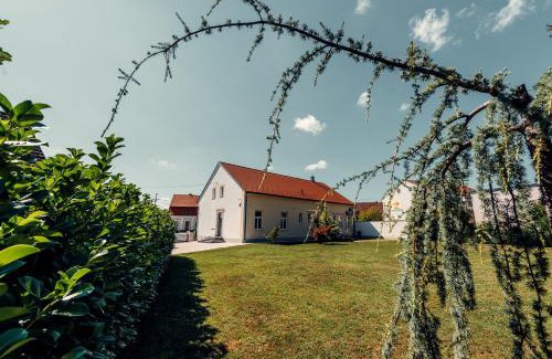 Ivanic-Grad Wohnung | Studio apartmani Albero