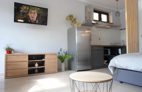 Vinica Wohnung | Studio apartmani Vinica