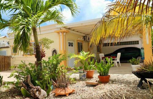 Oranjestad Wohnung | Studio apt in Aruba plus optional Portuguese cooking with Grandma