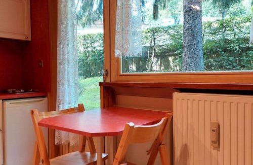 Chamonix City Centre Wohnung | Studio Chamonix rénové, proche centre et télécabine, animaux admis, parking - FR-1-517-3