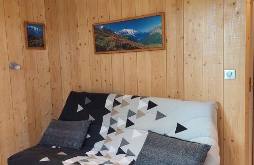 Chamonix City Centre Wohnung | Studio Chamonix rénové, proche centre et télécabine, animaux admis, parking - FR-1-517-3