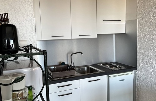 Marine de Saint Ambroggio Wohnung | Studio Climatisé vue mer a 900m de la Plage