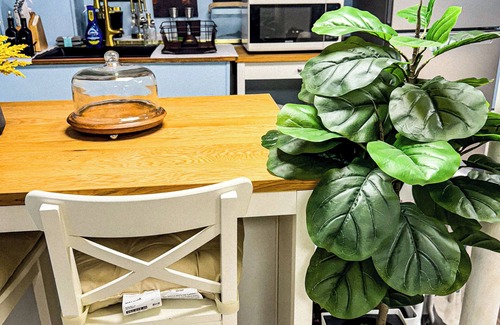 Revere Wohnung | Studio Close to Beach, Boston, Logan Airport & Train Station