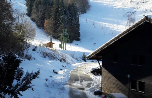 Viuz-en-Sallaz Wohnung | Atelierblumen der Alpen