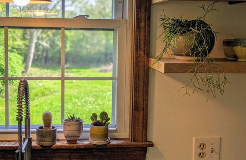 Westport Wohnung | Studio guesthouse on our farm in beautiful South Westport.