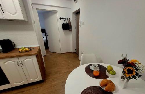 Hunedoara Wohnung | Studio TAD HOUSE Hunedoara