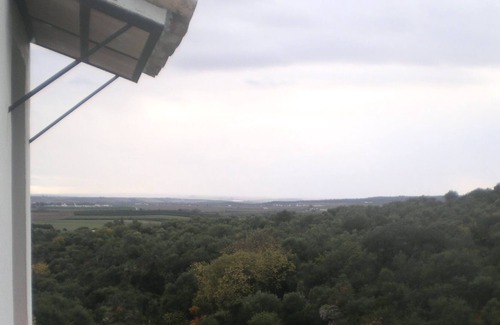 Hornachuelos Resort | Studie über Strom in Cañada Verde