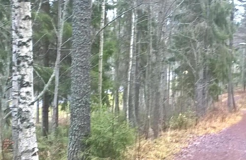 Lulea Wohnung | Stunning 1-Bed Apartment in Lulea