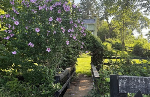 Bluemont Wohnung | Stylish 1-bd/1-ba gardern apt within quaint Bluemont village, walk to wineries.
