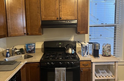 Avondale Wohnung | Stylish, Inviting 2-BR near Logan Square and Wrigley Field