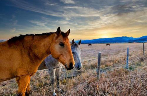Victor Haus | Stylish Mtn Home Fireplace Views