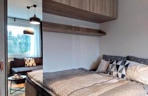 Janske Lazne Wohnung | Stylový apartmán přímo u lanovky, vlastní garážové stání