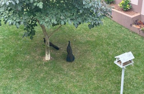 Caparao Velho Haus | Suítes Grãos do Alto Caparaó