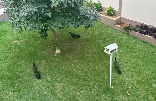 Caparao Velho Haus | Suítes Grãos do Alto Caparaó