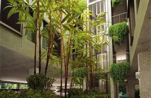 Paradise Island Wohnung | SUITE 203 - THIRTY SIX CONDO