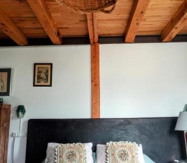 Hoz de Jaca Haus | Suite en cuadra pajar, casa Rural